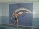 Степан Бесіда фотография #1