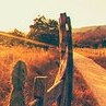 Свєтік Токарська фотография #4 (источник - https://vk.com/id117418233)