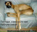 Фотография Берчун Ольги