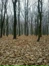 Фотография Ромкина Жеки