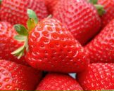 Іруська Юхимчук фотография #2 (источник - https://vk.com/id84994216)