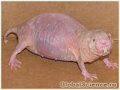 Фотография Красивовой Юли