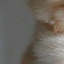 Надя Бабійчук фотография #14 (источник - https://vk.com/id147804112)