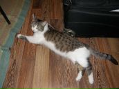 Фотография Кузнецов Сергей