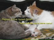 Світлана Блашко фотография #16 (источник - https://vk.com/id50099462)