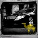 Фотография Штырина Анюта