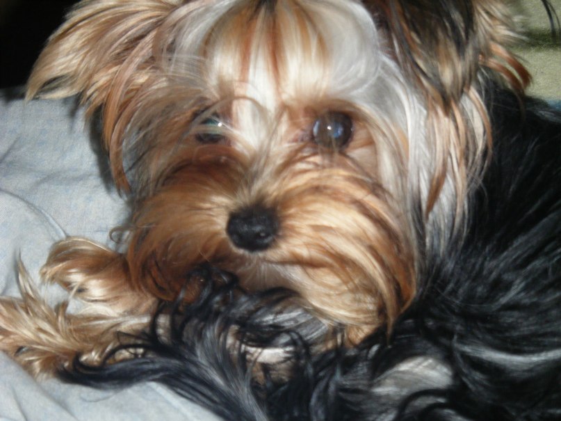 Елена Савельева фотография #8