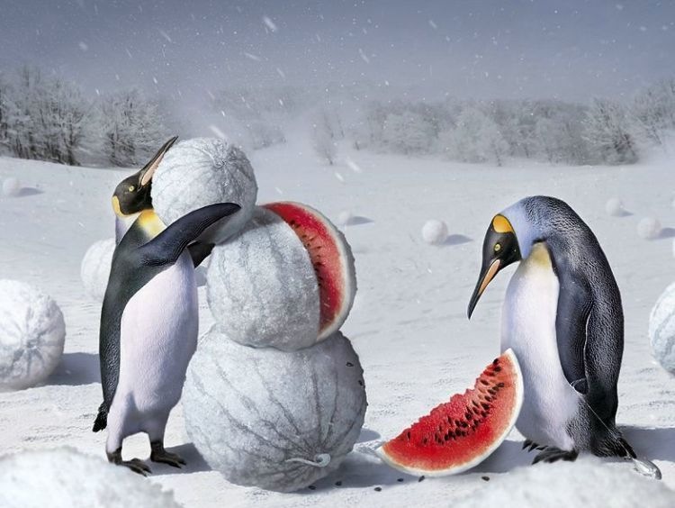 Айгуль Плотникова фотография #39