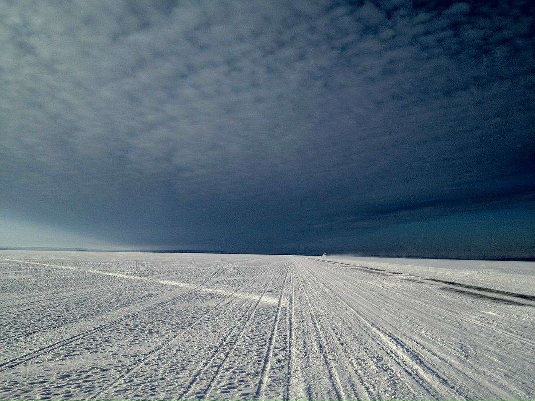 Лена Молодяну фотография #24