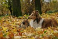 Фотография Ейбогиной Людмилы