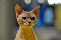 Фотография Нвга Вячеслава