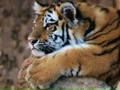 Фотография Зариповой Надежды