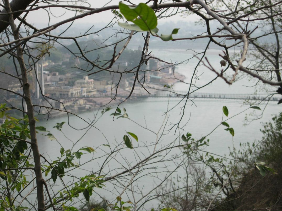 Rust Rust фотография #16