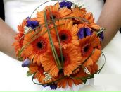 Квіти Розмовляють фотография #17 (источник - https://vk.com/id71747870)