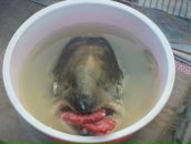 Фотография Ивановой Кристины