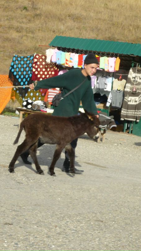 Гульнара Баширова фотография #50