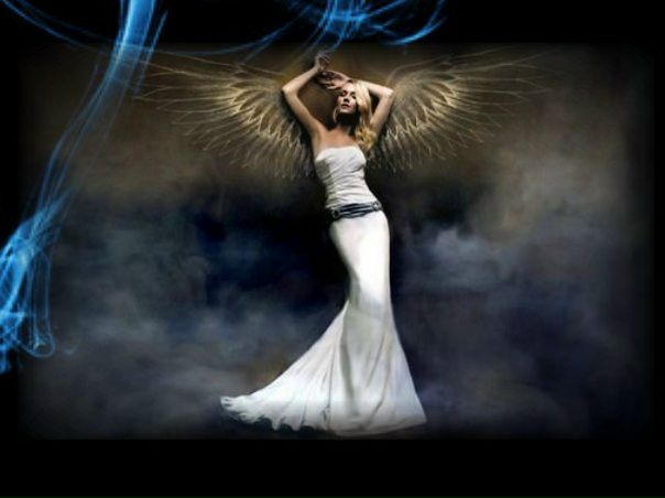 №13, Снежана Мездрина №13, Снежана Мездрина