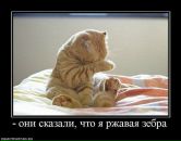 Андрей Ильющенков фотография #37 (источник - https://vk.com/id3568477)