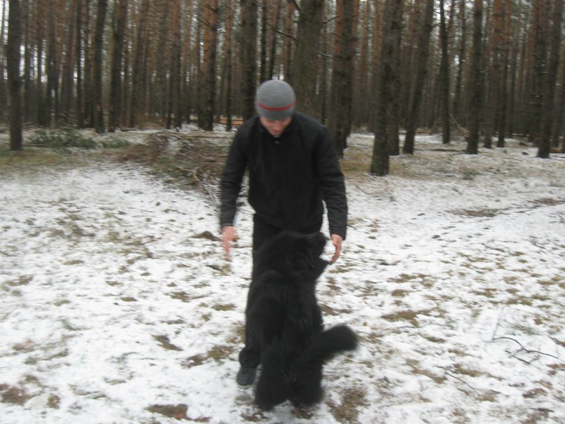 Дмитрий Худяков фотография #31