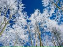 Вітусічка Шетерляк фотография #29 (источник - https://vk.com/id146274371)