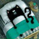 Фотография Павликов Павел