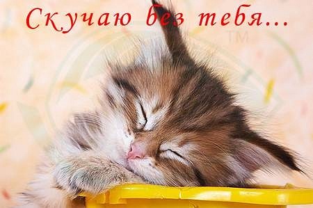 №18, Оксана Пелихова, Черняховск, Россия №18, Оксана Пелихова, Черняховск, Россия