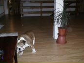 Евгений Кабин фотография #14 (источник - https://vk.com/id6736668)