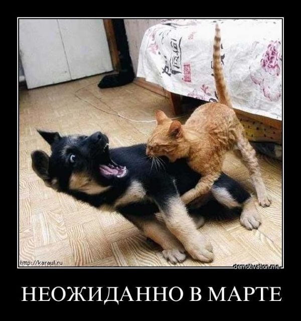 Дьулус Николаев фотография #49