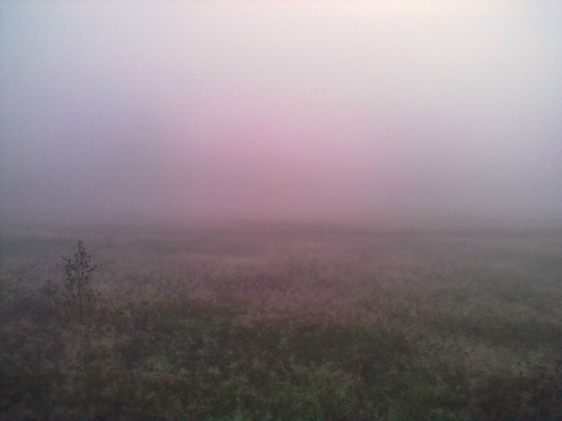 Kir Harm фотография #30