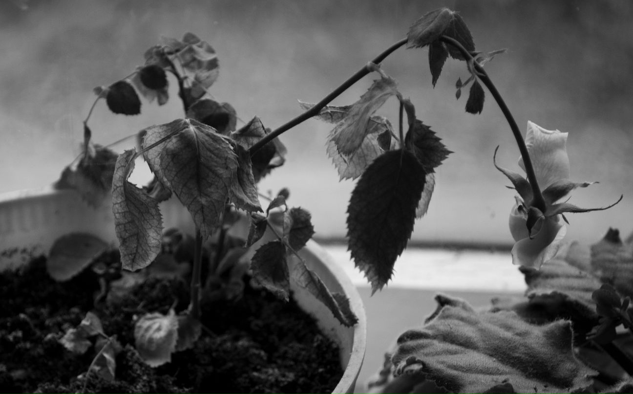 Игорь Половников фотография #39