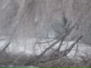 Дмитрий Безруков фотография #50 (источник - https://vk.com/id87112135)