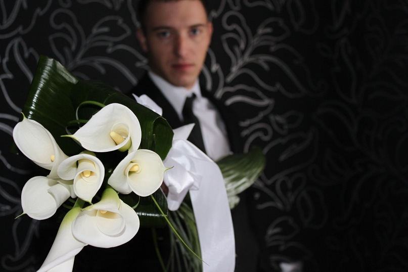 Дмитрий Гинель фотография #10