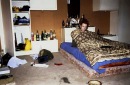 Фотография Четвертных Анастасии
