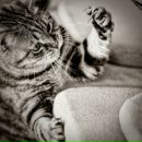 Фотография Рыбкиной Марии