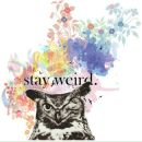 Фотография Жеребцово Светко