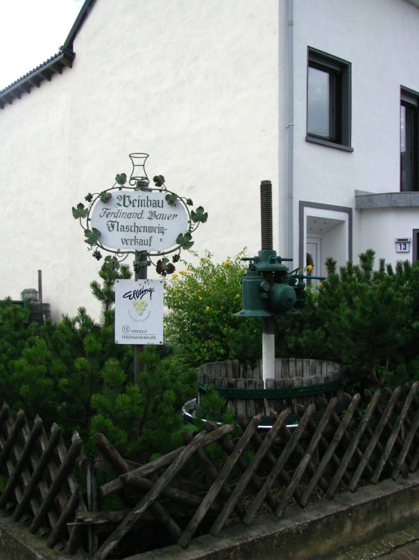 Вера Борисова фотография #39