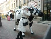 Фотография Сорочинский Андрей