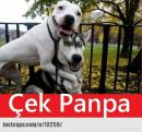 Fahri Chem фотография #38 (источник - https://vk.com/id166136911)