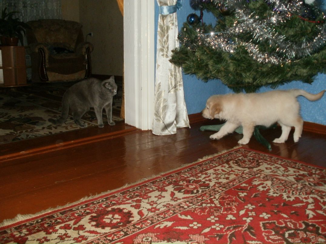 Иван Мозоля фотография #49