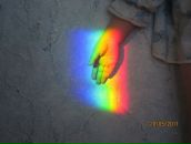 Фотография Борисовой Елены