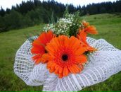 Фотография Алексеевой Анны