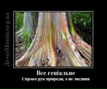 Марта Купріна фотография #43 (источник - https://vk.com/id62935114)