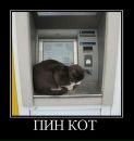 Андрій Ратич фотография #12 (источник - https://vk.com/id16301783)