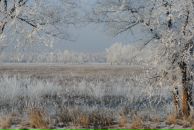 Yuri Bishaev фотография #4 (источник - https://vk.com/id770221)