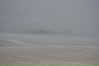 Yuri Bishaev фотография #10 (источник - https://vk.com/id770221)