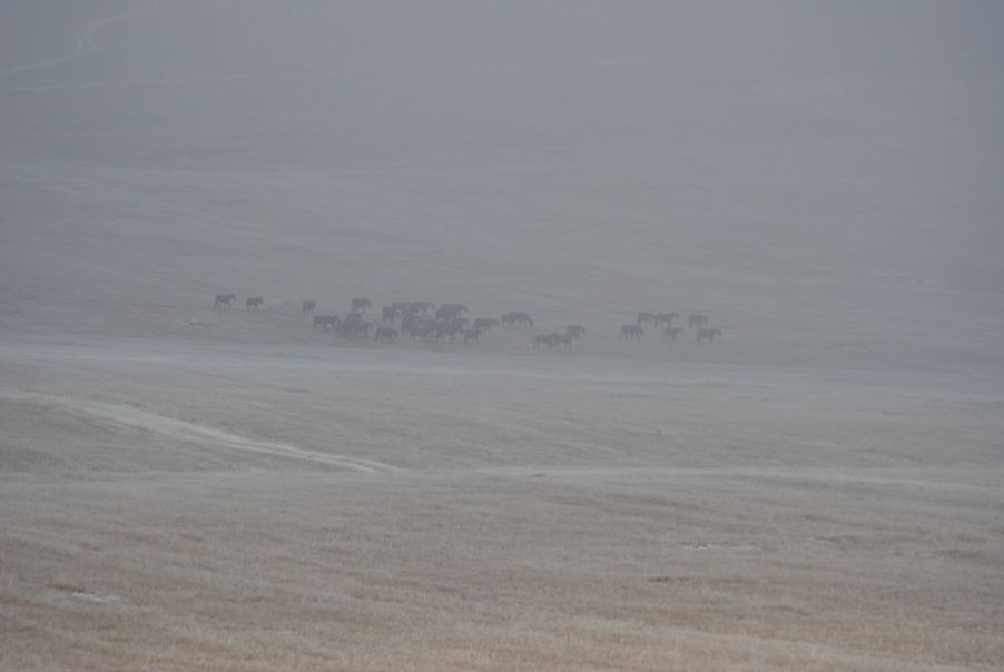 Yuri Bishaev фото №10