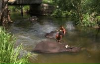 Даша Дашина фотография #20 (источник - https://vk.com/id2891457)