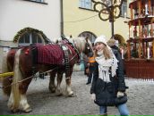 Іванка Залевська фотография #30 (источник - https://vk.com/id7313128)