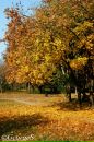Ольга Охрименко-Тихолоз фотография #44 (источник - https://vk.com/id205065262)