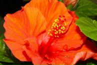 Ярослав Петріченко фотография #17 (источник - https://vk.com/id24545665)